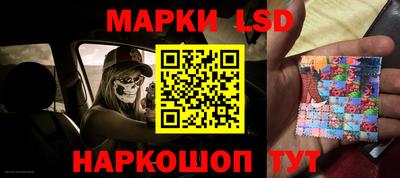 ПСИЛОЦИБИНОВЫЕ ГРИБЫ Новозыбков