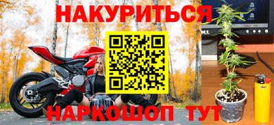 ешки Новодвинск
